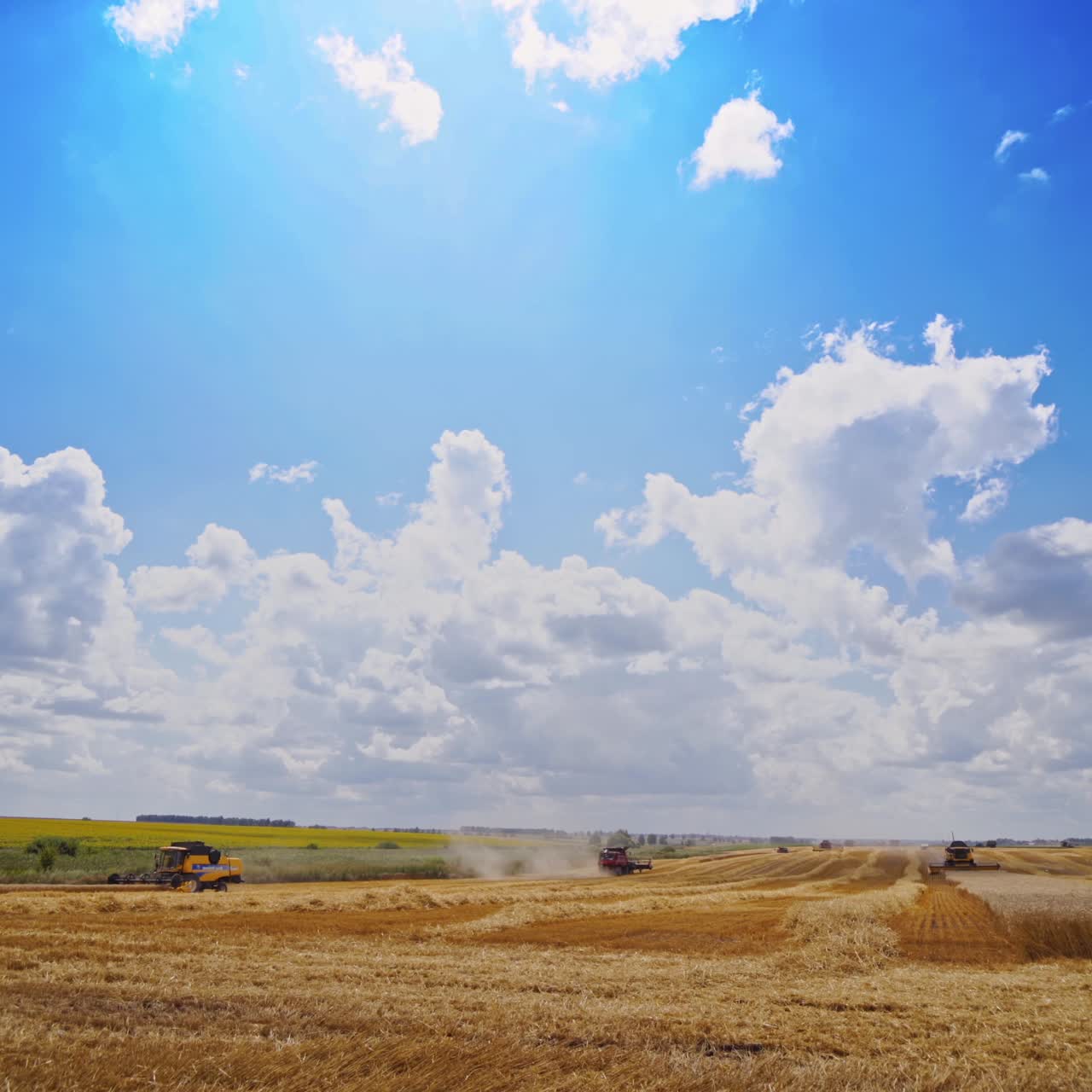Combines harvester in action on wheat field