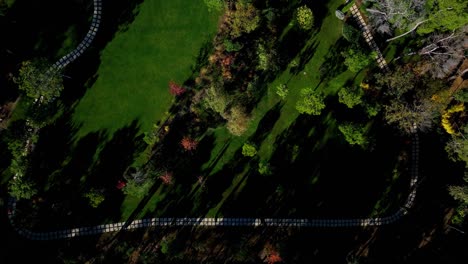 Immobilienrasen-Mit-Bäumen-Von-Oben-Nach-Unten,-Luftaufnahme