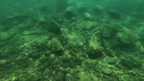 Unterwasser-Schnorchler-Schwimmt-über-Riff
