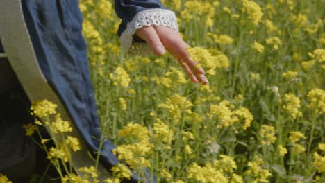 close up of a woman slowly moving her hand over flowers while walking through a large field in slow motion