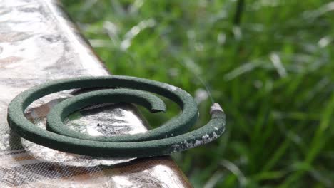 closeup of smoldering and smoking mosquito coil on table with green blurred background