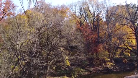 drone shot of bend in creek during fall