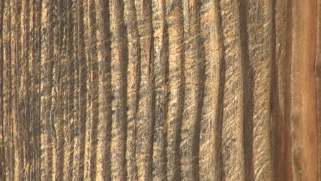 close-up of deeply furrowed weathered wood