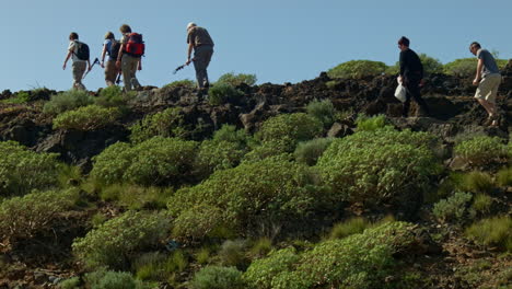 toeristen lopen op een pad met veel struiken op tenerife, rotsachtige strandomgeving