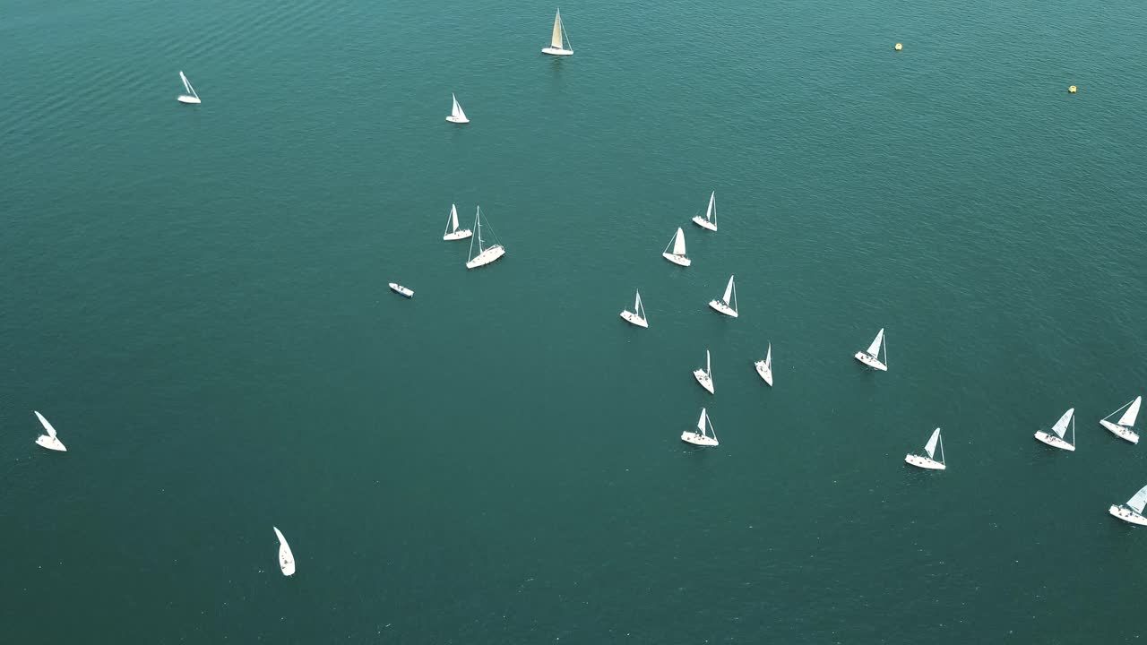 Sailboats dot the surface of Lake Constance