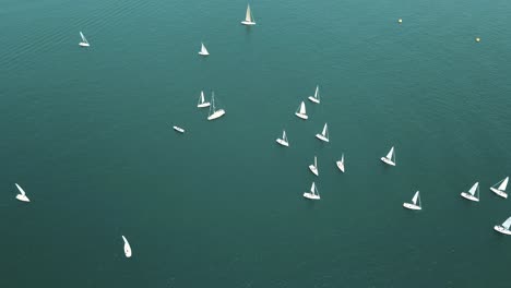 Sailboats dot the surface of Lake Constance
