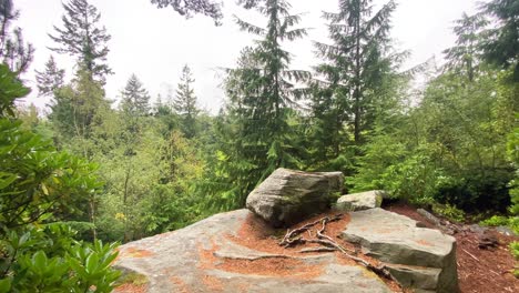 a view from the top of cliff looking over tree tops of a dense conifer forest