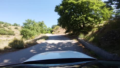 driver pov from a white car turning right on mountain road with reflective windshield and bright sunlight shining through green trees in countryside of southern europe