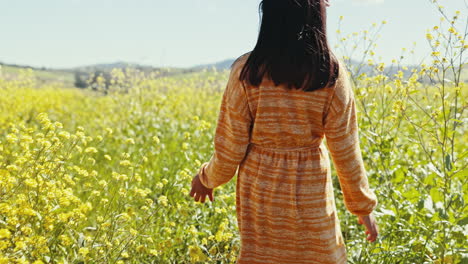 child, walking and field with flowers in spring