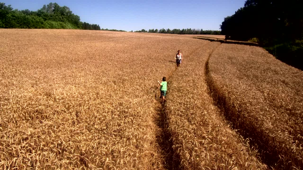 niño corriendo por el campo de trigo para abrazar a su madre