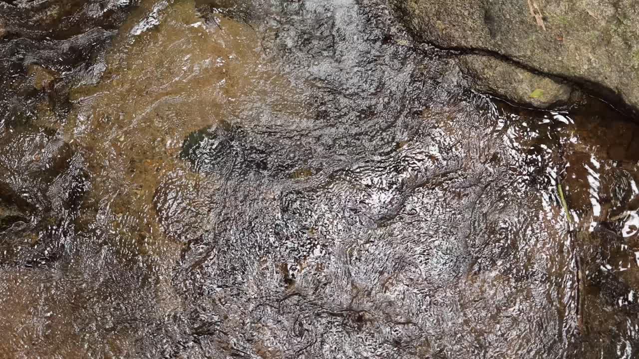 A dynamic stream flows over rocks in Mossman Gorge, showcasing natural textures and movement with soft, natural lighting