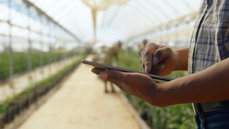Man-using-digital-tablet-in-blueberry-farm-4k