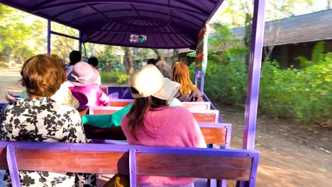 los pasajeros disfrutan de un recorrido panorámico en tranvía en tailandia