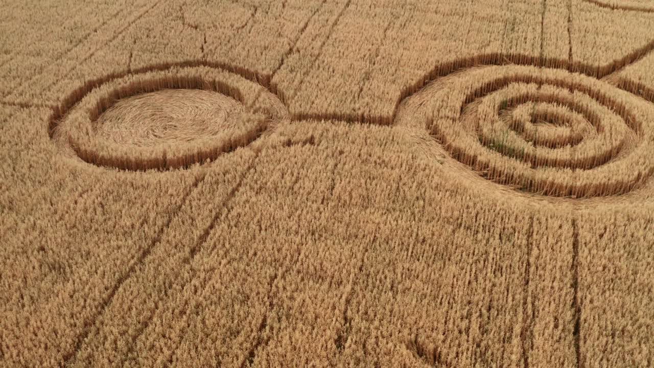 곡물 작물에서 가짜 ufo 원, 노란색 필드, 드론에서 공중 뷰, 둥근 기하학 모양의 기호, 외계 신호, 미스터리 개념