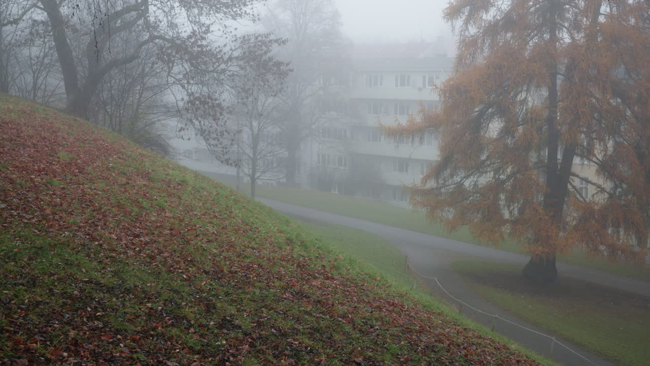 Hillside in a park with walkway and building in the background