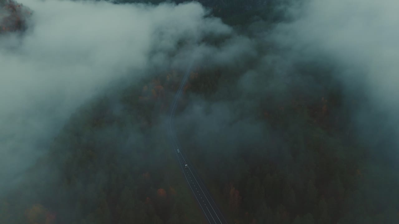 안개가 가득한 산길