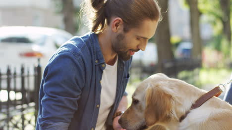 close up view of young man on the street petting a cute labrador dog and giving it treats on a sunny day