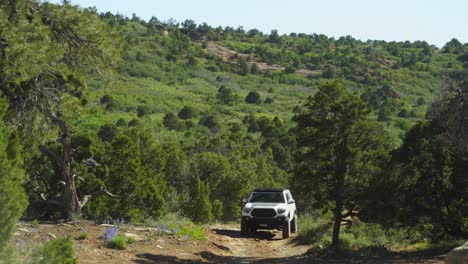 White-SUV-truck-drives-on-rough-rocky-dirt-road-in-green-canyon-trees