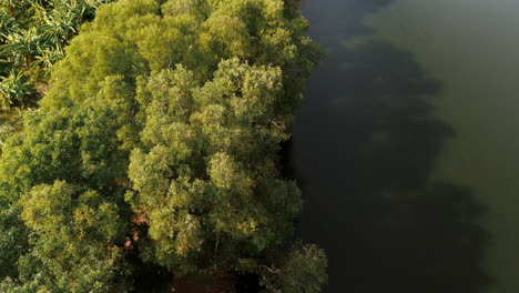 vista aérea del bosque y el lago