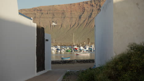 A-seagull-flies-by-in-an-alley-on-Lanzarote-Beach