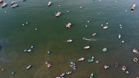 Vista-Aérea-De-Dos-Barcos-De-Coracle-Que-Se-Mueven-En-Mui-Ne-Bay-Actividades-De-Pescadores-De-Vietnam-Temprano-En-La-Mañana-Que-Llevan-Mariscos-Y-Pescados-A-Camiones,-Tiendas-Y-Restaurantes