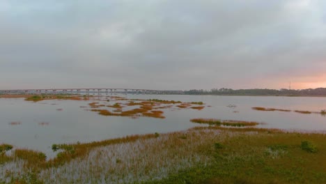 early morning at the matanzas river and wetlands