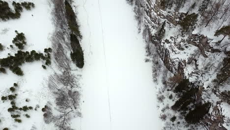 frozen river in a winter forest