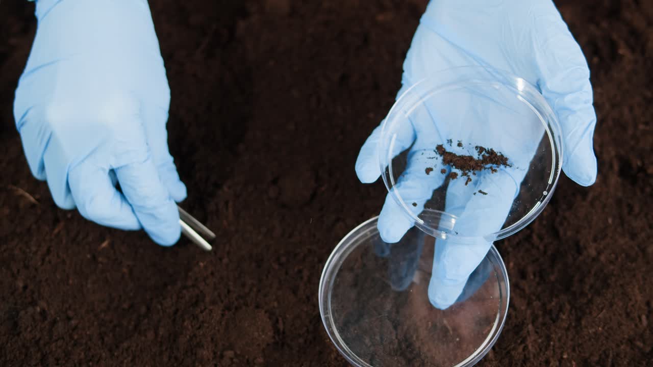 Soil Sample Examination in a Laboratory