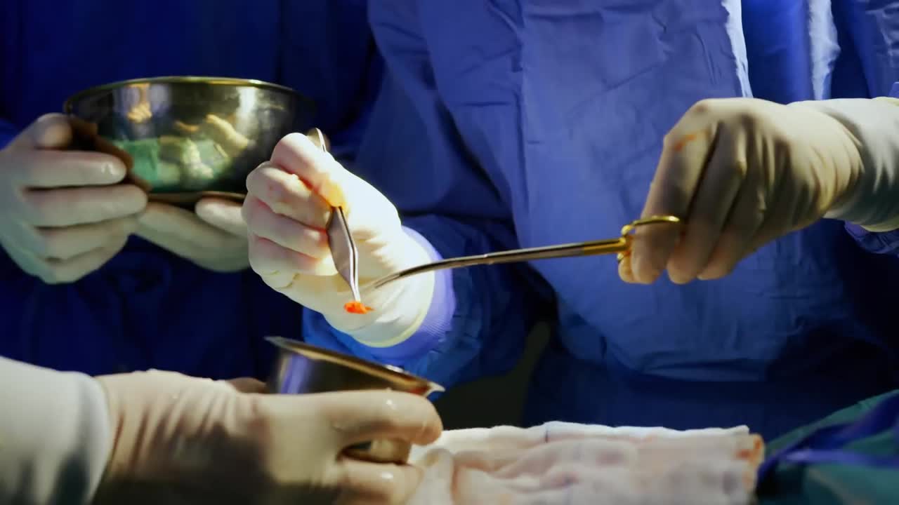 의학과 과학의 글로벌 네트워크