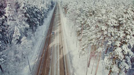 snowy forest road with cars