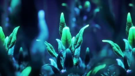 glowing neon plants