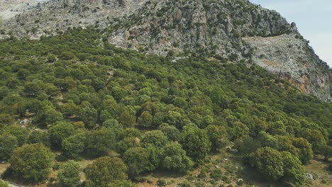 Spanish-countryside-including-forests-and-mountains-is-shown-in-a-slow-drone-shot