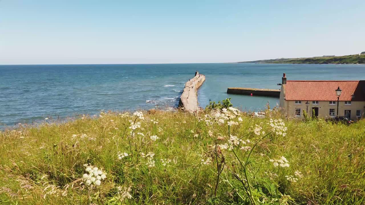 화창한 여름날 세인트 앤드류스 파이프 스코틀랜드의 항구 산책