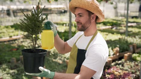 Retrato-De-Un-Joven-Jardinero-Regando-Un-árbol-De-Navidad-En-Una-Olla