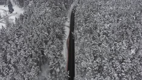 Slowly flying towards the above road in the middle of the cold snowy winter forest. Cloudy day