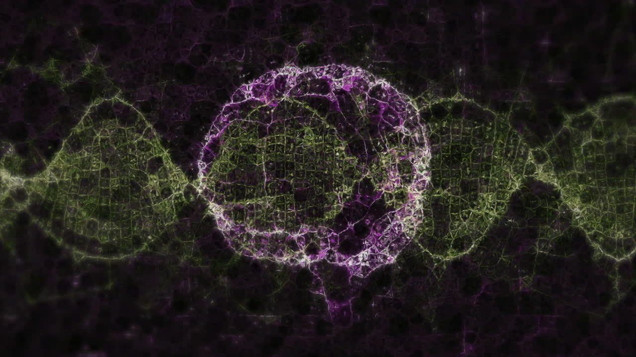 Animation of digital network with purple and green lines on black background