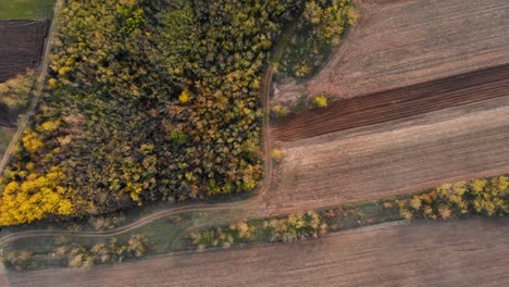 Aerial-view-of-a-dirt-road,-in-middle-of-fields-to-forest,-sunny,-fall-day---screwdriver,-drone-shot