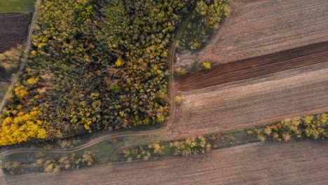 Luftaufnahme-Einer-Unbefestigten-Straße,-Mitten-Zwischen-Feldern-Und-Wald,-Sonniger-Herbsttag---Schraubenzieher,-Drohnenaufnahme