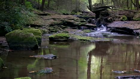 panning across mountain stream