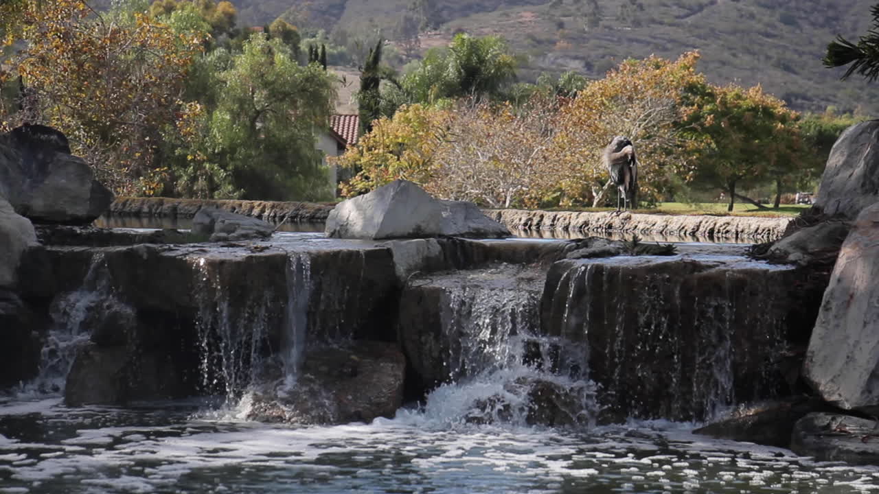 Scenic Waterfall Landscape with Heron