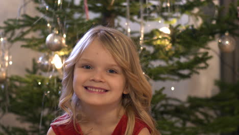 portrait of young excited girl waiting for christmas celebrations, static