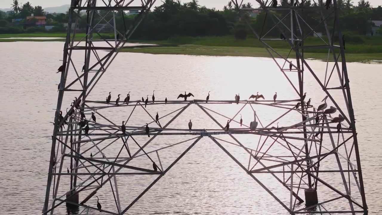 Aerial drone shot of birds perched on power transmission tower above calm lake with reflective water and distant shoreline during daytime in Tamil Nadu, India