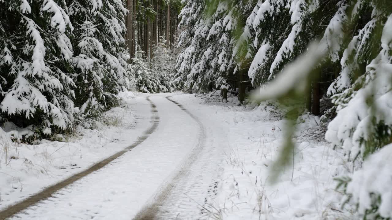 차량 타이어 표시가 눈  ⁇ 인 단일 트랙 시골 도로에서 드러납니다.