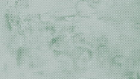 glistening green and white marble surface with water droplets