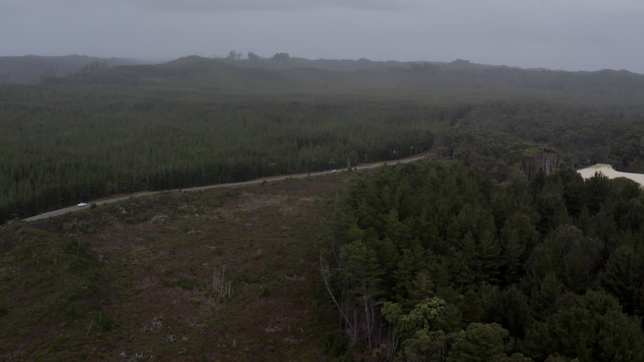 antena: dron volando sobre un bosque alto mientras los autos conducen a lo largo de un camino a través del desierto en tasmania, australia