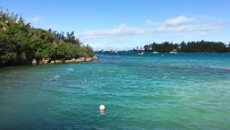 Jumping-fish-in-turquoise-water