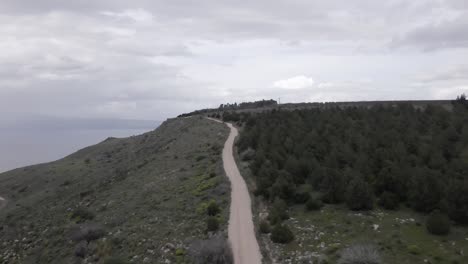 4k aerial shot. flying over empty asphalt road. close to the trees. aerial uhd 4k: mid-air flight over rural mountain road and meadow at sunny summer morning.