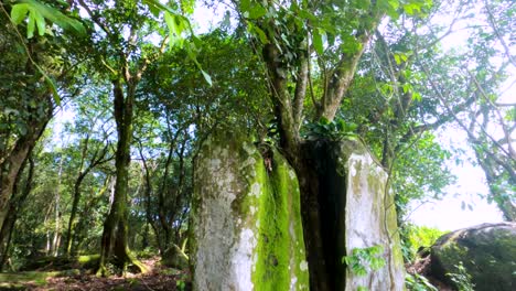 Panoramablick-Von-Unten-Nach-Oben-Auf-Einen-Felsen,-Der-Von-Einem-Baum,-Der-Aus-Dem-Felsen-Gewachsen-Ist,-In-Zwei-Hälften-Geteilt-Wurde