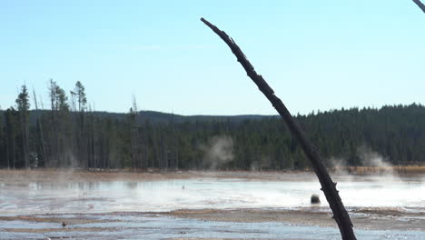 steam moving above natural pools basin in yellowstone national park, wyoming usa