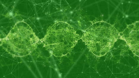 animation of web of connections and dna strain made of connections on green background